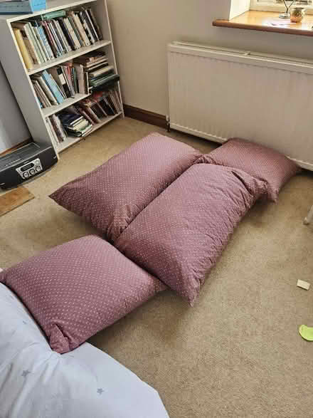 Photo of free Four large firm cushions (Northgate Village CH2) #1