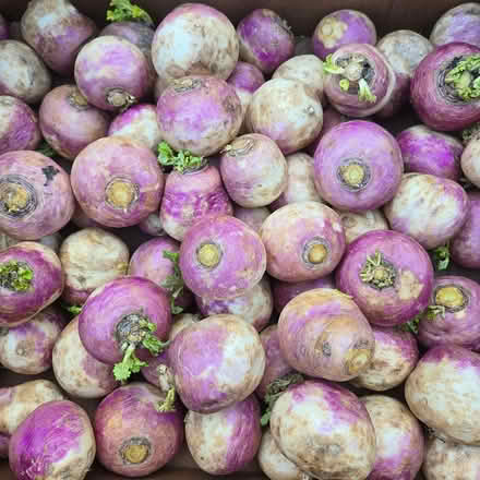 Photo of free Turnips (Chiquita Av MtnVw) #1