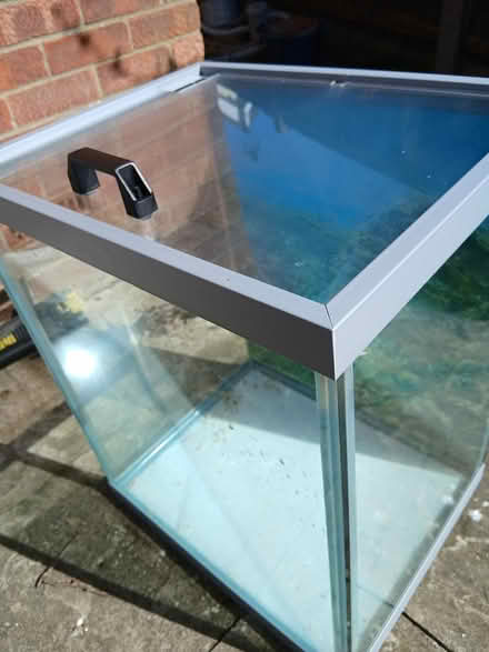 Photo of free Aquarium/Fish Tank (East bergholt CO7) #4