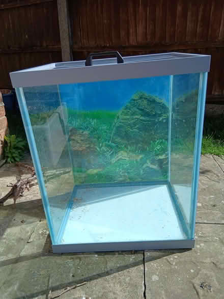 Photo of free Aquarium/Fish Tank (East bergholt CO7) #3
