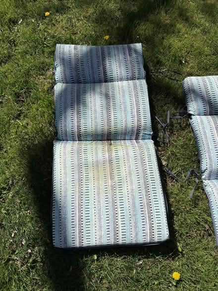 Photo of free 4 outdoor cushions (inner N/NE Portland) #2