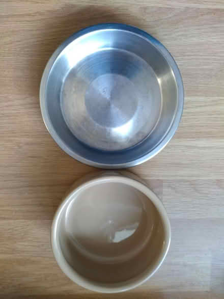Photo of free Cat accessories (Thanington, Canterbury CT1) #4