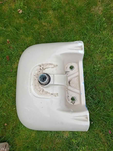 Photo of free Basin and pedestal (Twickenham TW2) #2