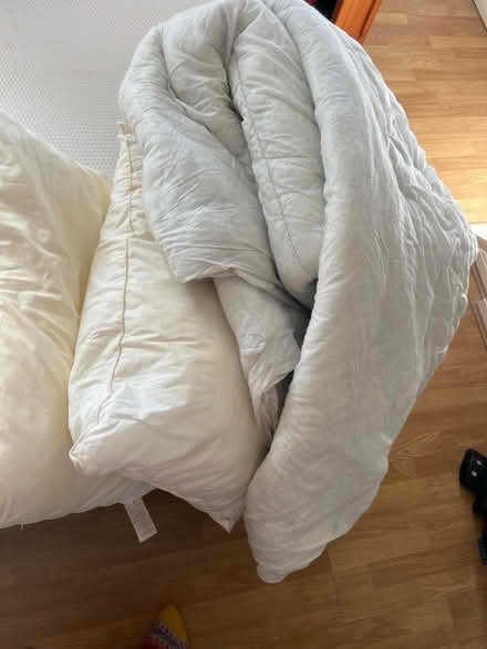 Photo of free Old bedding (HR4) #3