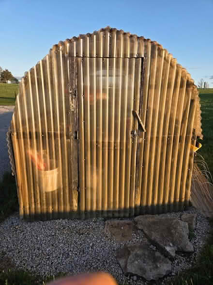 Photo of free Greenhouse/storage building (4 miles west of Cynthiana) #1