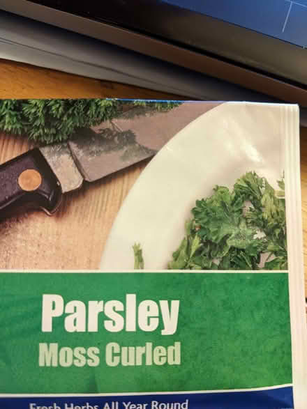 Photo of free Moss curled Parsley seeds - most of the packet. (City Centre NR3) #1