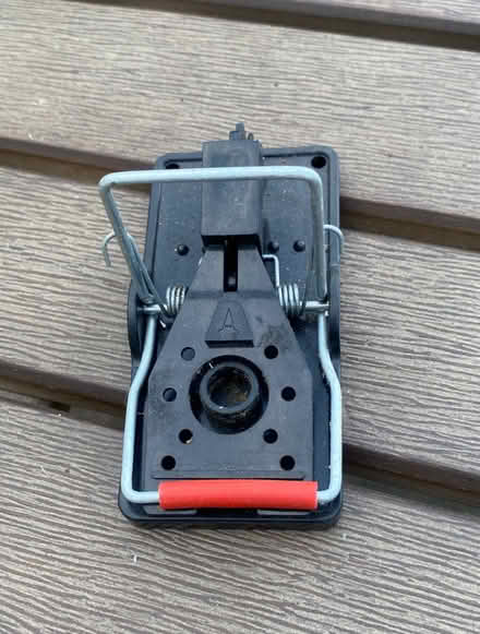 Photo of free Mousetrap unused (N11 Bounds Green) #1