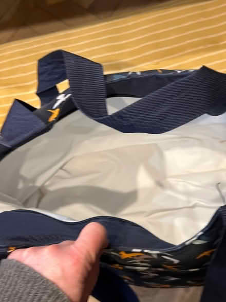 Photo of free Picnic bag (CB4) #2