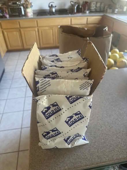 Photo of free Gel Cold Pacs (Alameda) #1