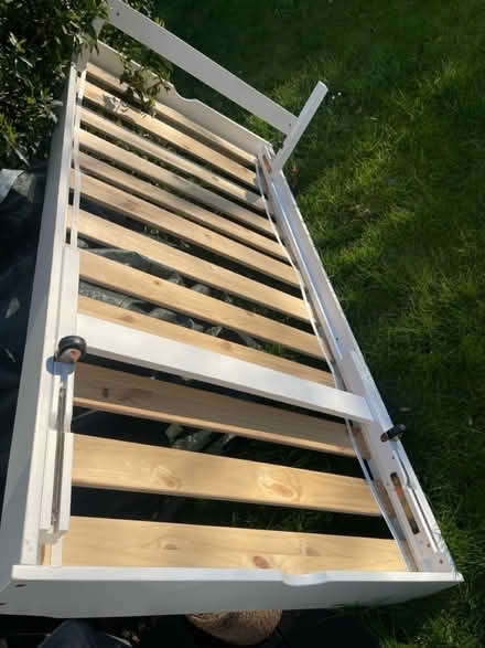 Photo of free Single bed (Putney, Barnes SW15) #3