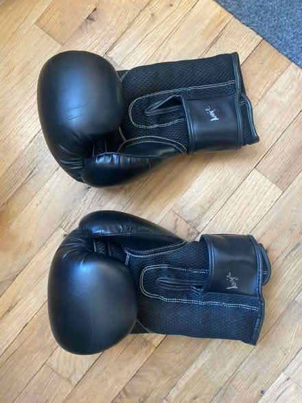 Photo of free Kickboxing gloves (small) (98178) #2