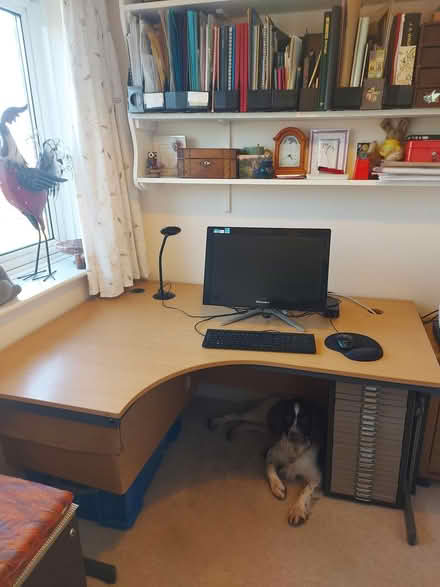 Photo of free Corner desk (Tiverton EX16) #2