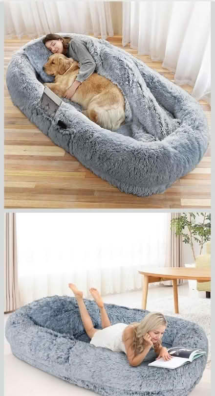 Photo of free Dog bed, human size. (Strood ME2) #1