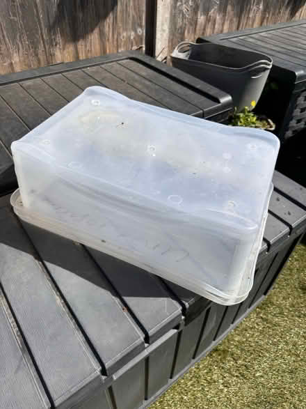 Photo of free Plastic storage boxes x2 (Borehamwood, WD6) #1