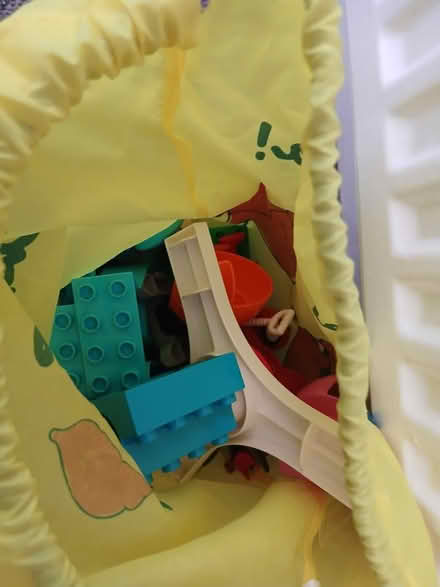 Photo of free Spider duplo (Coombe Road KT2) #3