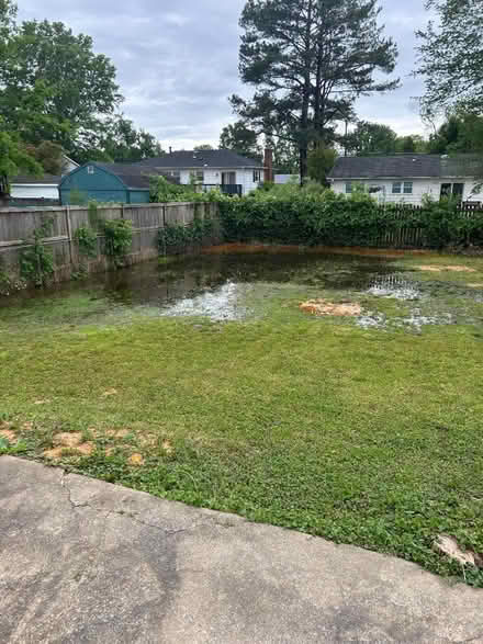 Photo of Back Yard (Kitchener) #1