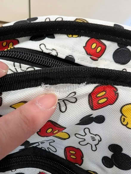 Photo of free Disney Tote Gift Bag (El Cerrito) #3