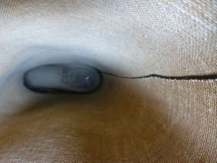 Photo of free Mens wellies size 9 (Coventry CV1) #2