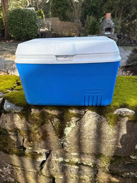 Photo of free Med Rubbermaid cooler (Bronxville) #1