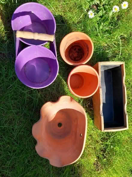 Photo of free Flower pots (Odd Down) #2