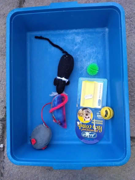 Photo of free Cat accessories (Thanington, Canterbury CT1) #1
