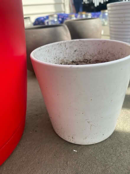 Photo of free Pots for plants (98178) #2