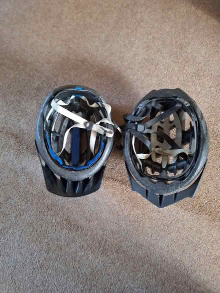 Photo of free Cycle helmets (Waterside HP5) #2