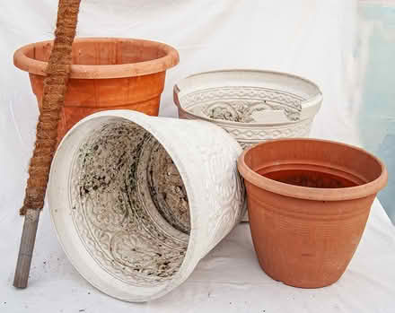 Photo of free Flower Pots (Chester CH3) #1