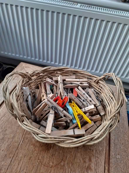 Photo of free Basket of Clothes Pegs (Stroud GL5) #1