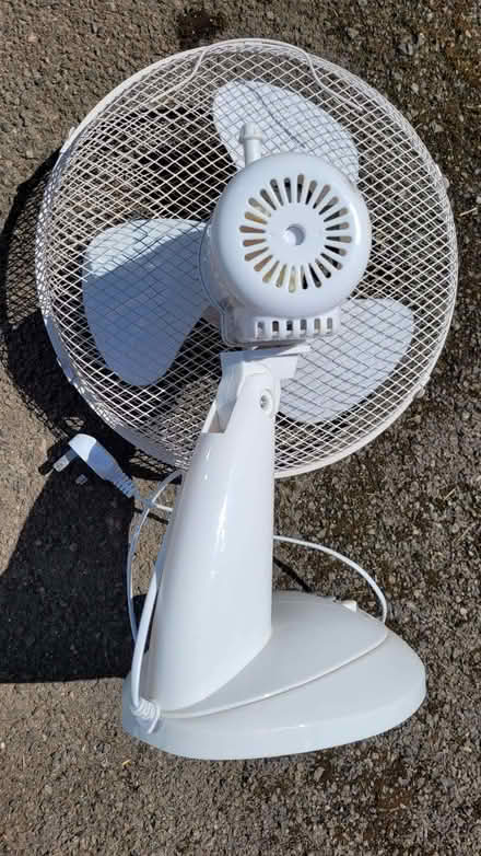 Photo of free White oscillating fan 240V keep cool this summer! (Highworth SN6) #1