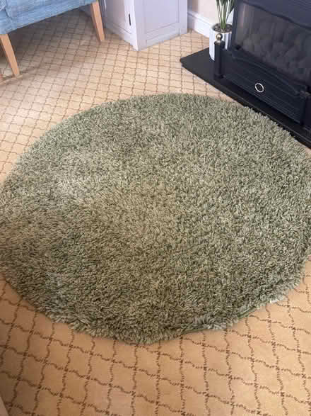 Photo of free Circular Green Rug (Comberton DY10) #1