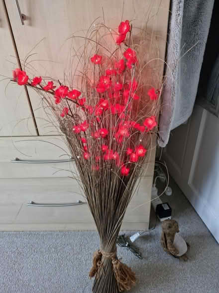 Photo of free Red flower lights grasses (Barming ME16) #1