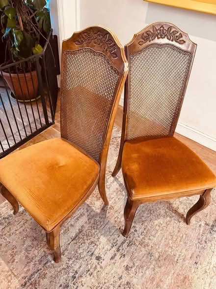 Photo of free Dining Chairs (Warwick CV34) #1