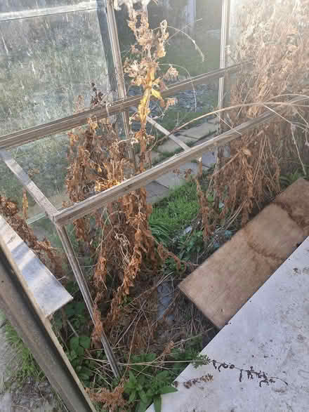 Photo of free Green house (Ch52rq) #4