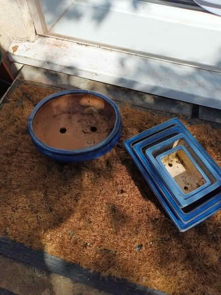 Photo of free Bonsai pots (City of Bristol BS16) #2