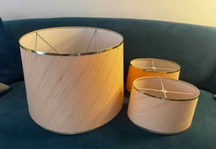 Photo of free Vintage Blush & Gold Lamp Shades (TN2 3HT) #1