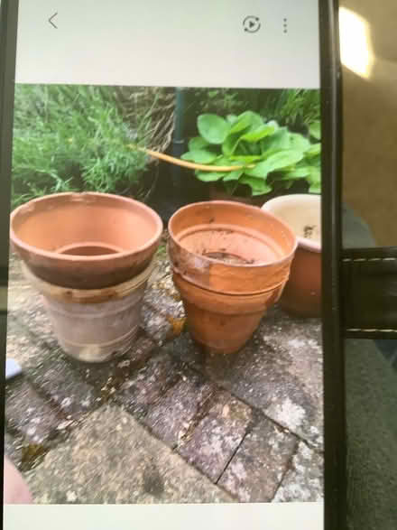 Photo of free Garden pots (B61 Bournheath) #2