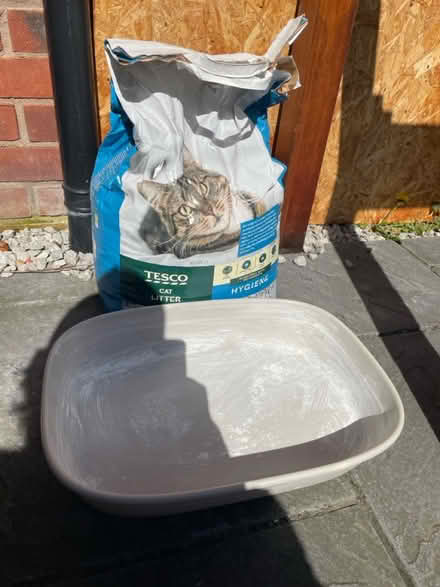 Photo of free cat litter and tray (loughborough LE11) #1