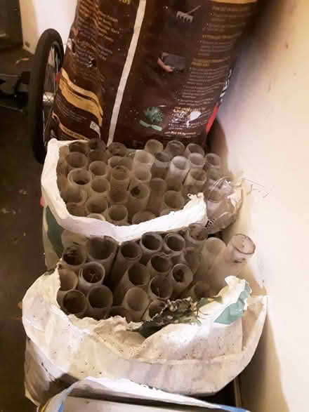 Photo of free Sapling protectors (Upton CH2) #3