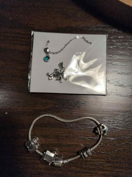Photo of free Charm bracelet and necklace (Worcester, 01606) #1