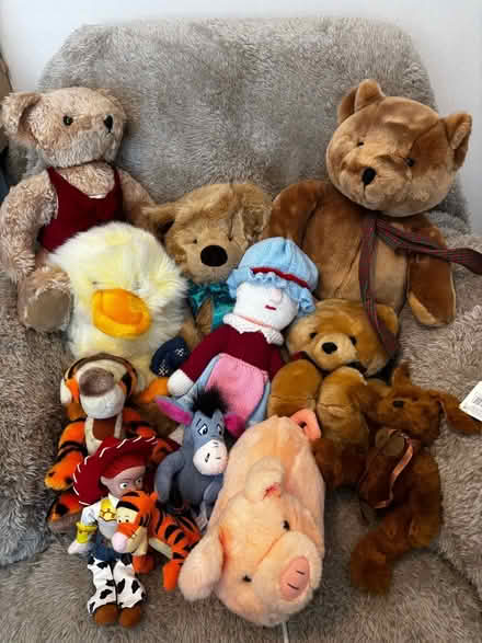 Photo of free Soft Toys (South Hetton DH6) #1