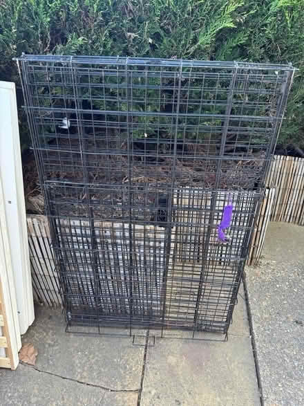Photo of free Large Dog Cage (Luton LU2) #1