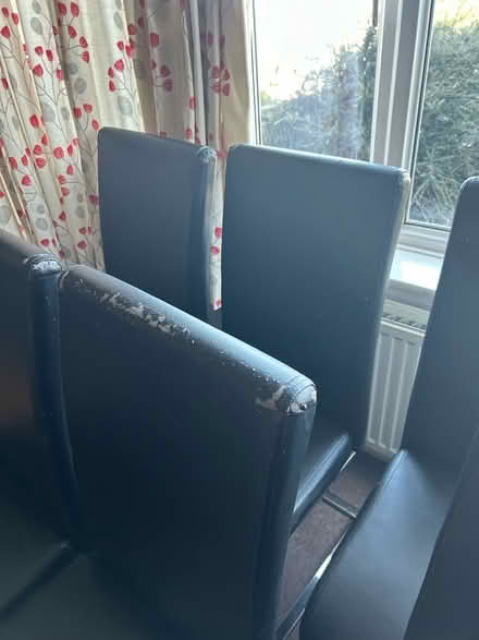 Photo of free Set of 6 dining room chairs (Bloomfield) #3