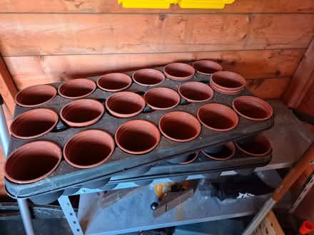 Photo of free 3.5in pots (Portishead BS20) #1