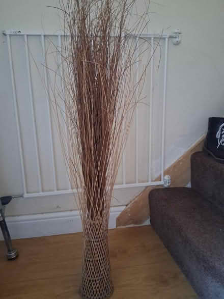 Photo of free Decorative reeds (Church Hill South Redditch B98) #1