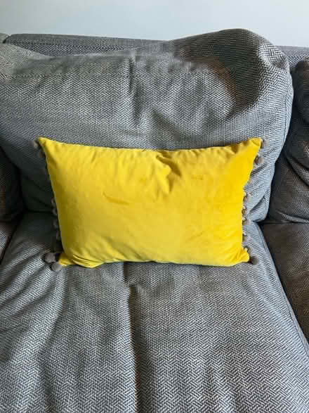 Photo of free Yellow velvet cushion (Queens Park) #1