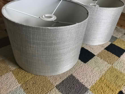 Photo of free Lamp shades (Paignton TQ3) #2