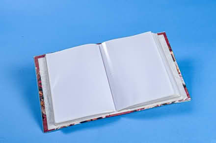 Photo of free Photo Album (Chester CH3) #2