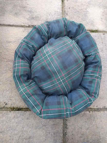 Photo of free Cat accessories (Thanington, Canterbury CT1) #3