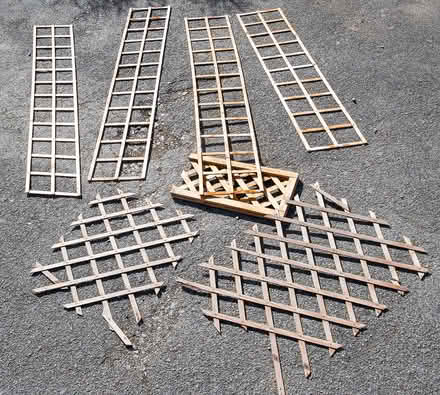 Photo of free Garden Trellis (Chester CH3) #1